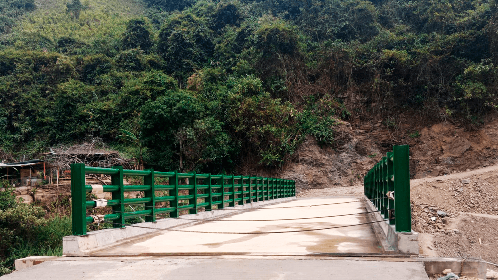 Puente Vehicular - Argelia